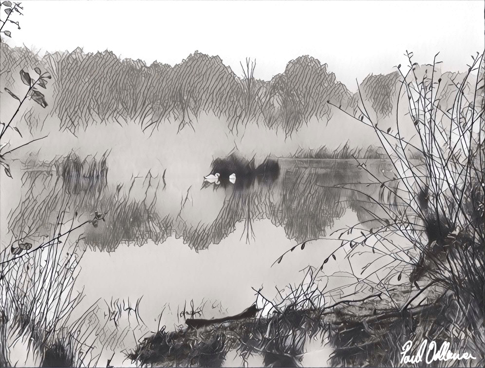 pond-sketch